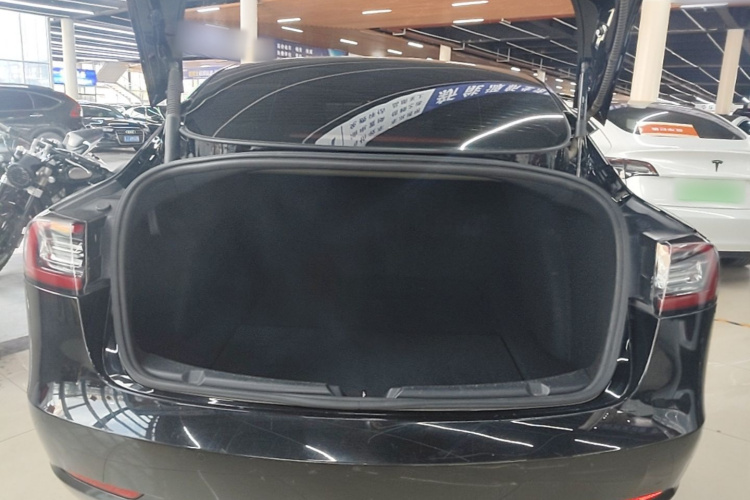 Tesla Model 3 2021 car image #19