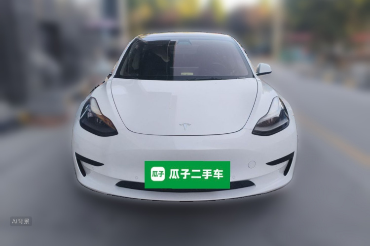 Tesla Model 3 2021 #3 Tesla Model 3 2021 car image #3