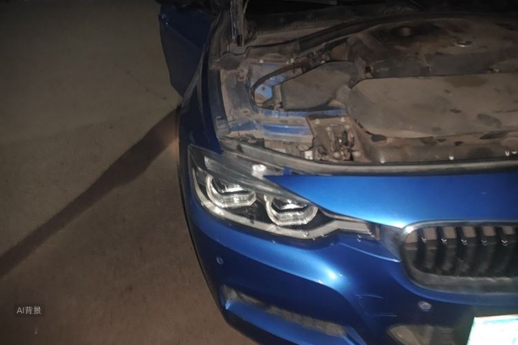 BMW 3 Series 2017 car image #8