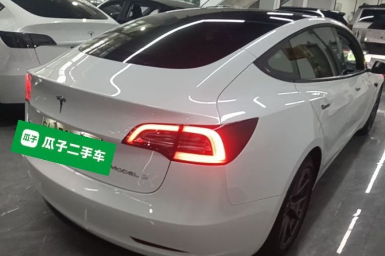 Tesla Model 3 2022 immagine di auto #7