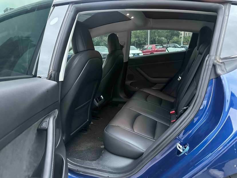 Tesla Model 3 2022 #6 Tesla Model 3 2022 car image #6