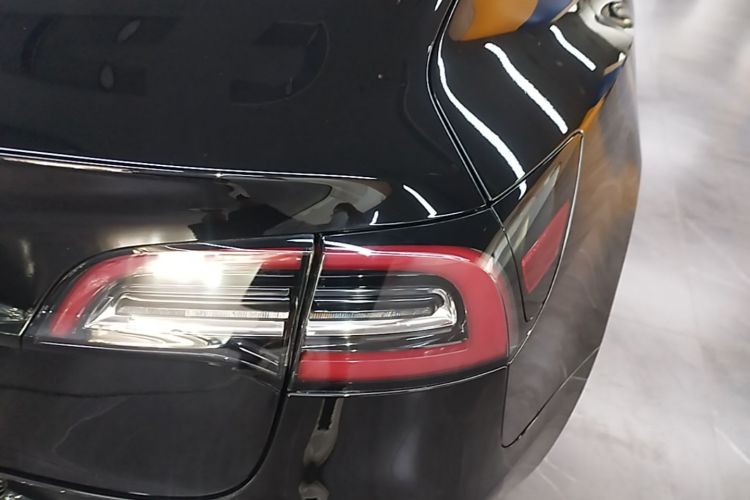 Tesla Model 3 2020 immagine di auto #8