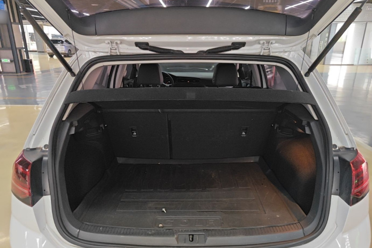 Volkswagen Golf 2019 car image #19