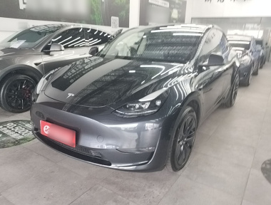 Tesla Model Y 2024 Tesla Model Y 2024 car image