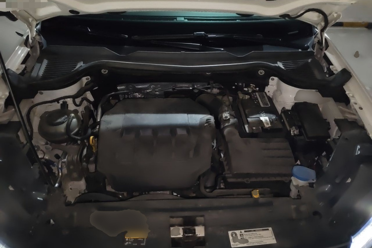 Volkswagen Tharu 2022 car image #18