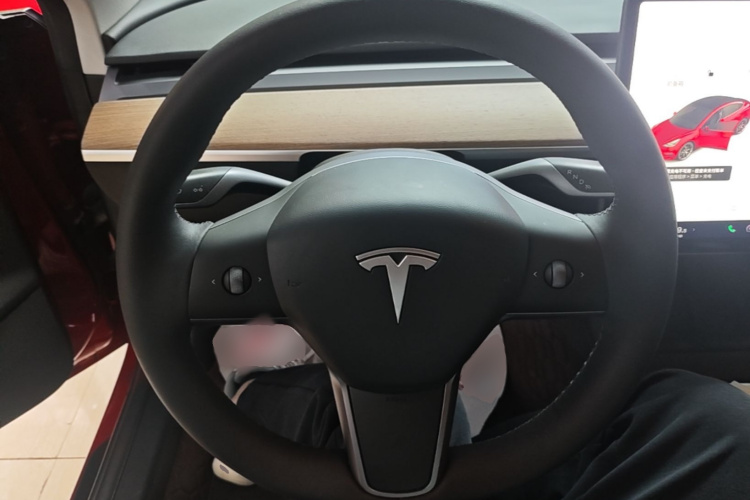 Tesla Model 3 2021 #15 Tesla Model 3 2021 immagine di auto #15