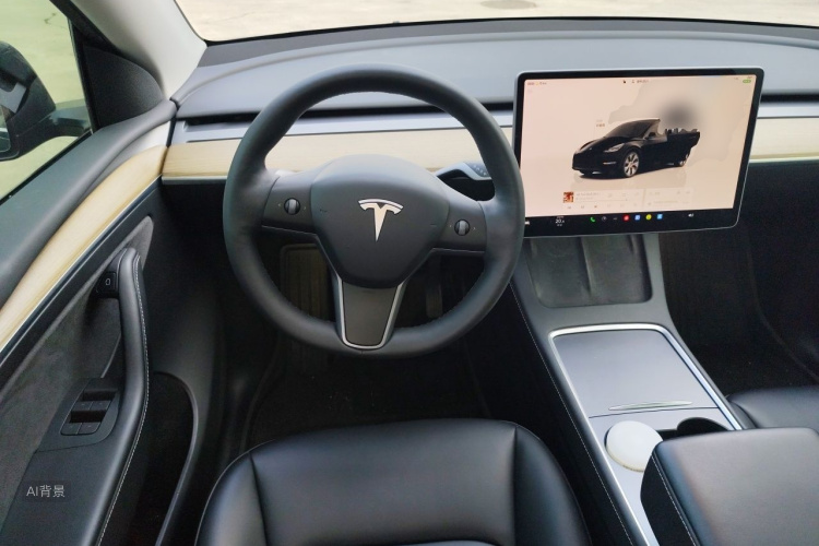 Tesla Model Y 2022 car image #12