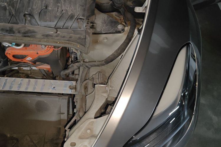 Tesla Model Y 2024 immagine di auto #29