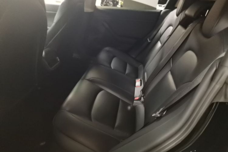 Tesla Model 3 2020 #17 Tesla Model 3 2020 car image #17