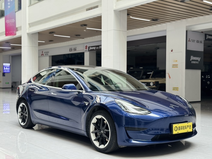 Tesla Model 3 2020 #3 Tesla Model 3 2020 car image #3