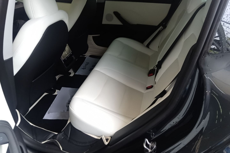 Tesla Model 3 2024 #17 Tesla Model 3 2024 car image #17