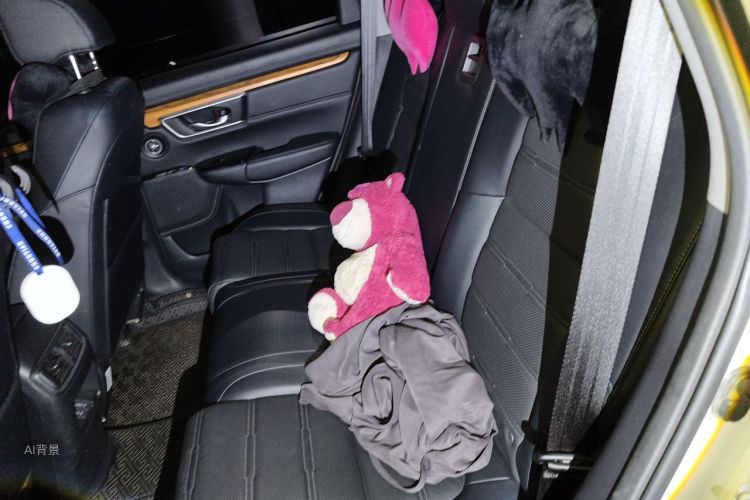 Honda CR-V 2019 car image #19