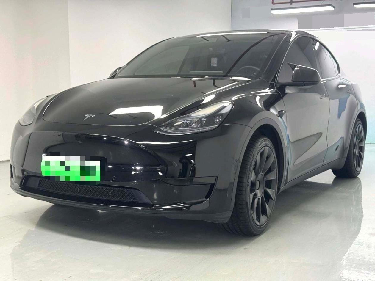 Tesla Model Y 2023 Tesla Model Y 2023 car image