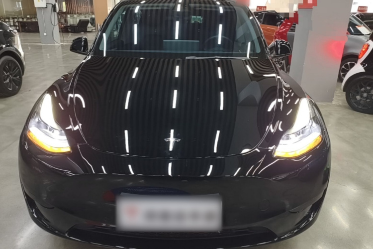 Tesla Model Y 2023 #3 Tesla Model Y 2023 car image #3