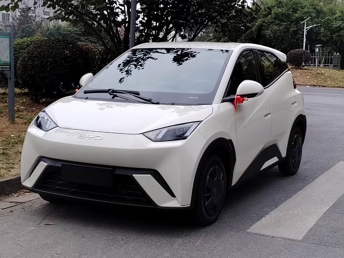 BYD Seagull 2024 immagine di auto 