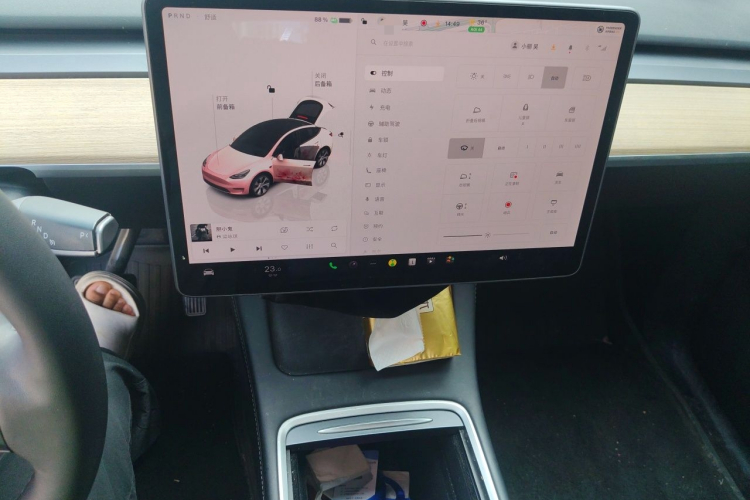 Tesla Model Y 2022 car image #12