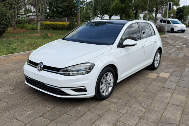 Volkswagen Golf 2019 car image #6