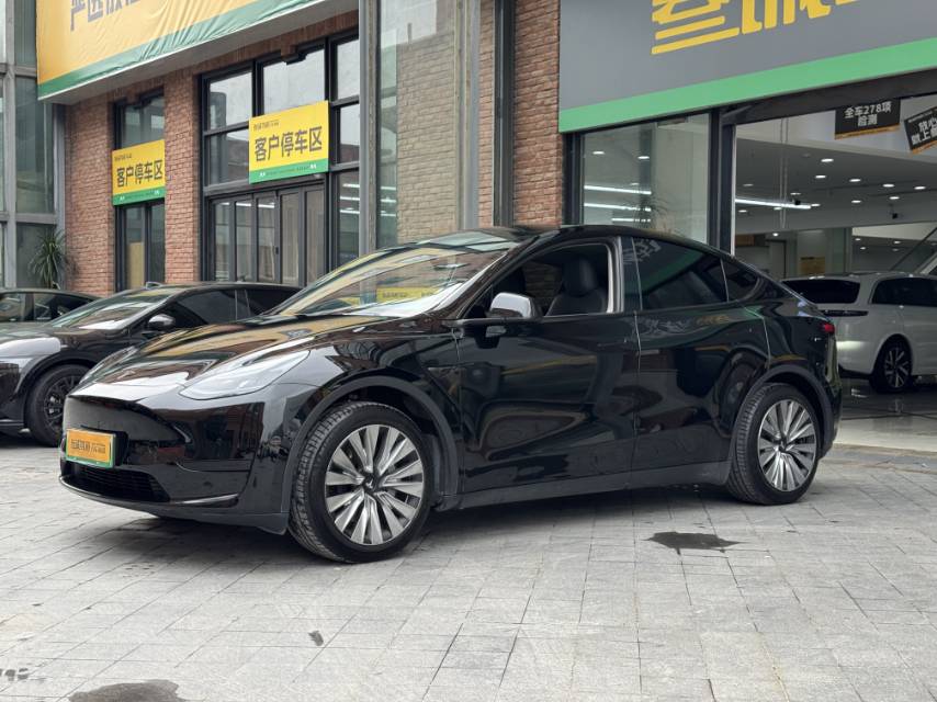Tesla Model Y 2024 car image 