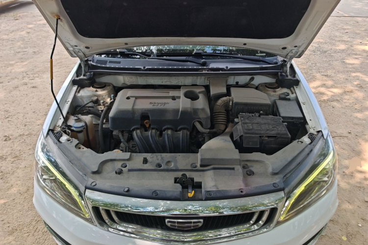 GEELY Emgrand 2020 car image #20