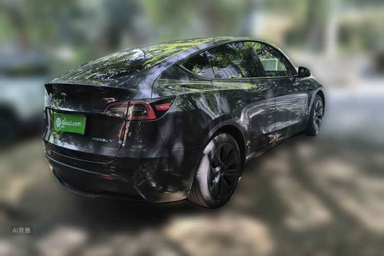 Tesla Model Y 2024 car image #7