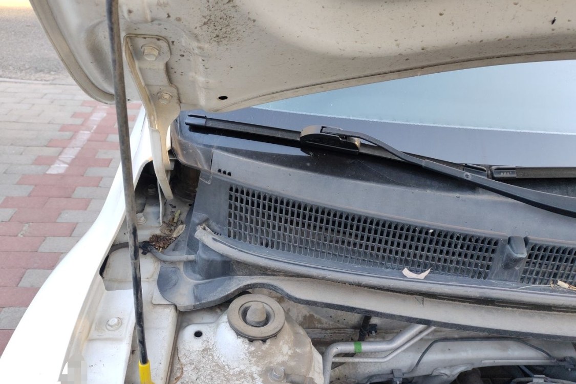 Kia KX1 2019 car image #11