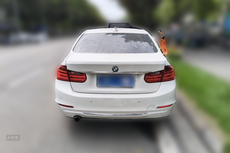 BMW 3 Series 2014 car image #6