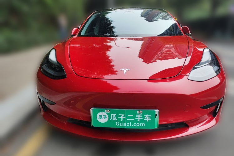 Tesla Model 3 2021 #3 Tesla Model 3 2021 car image #3