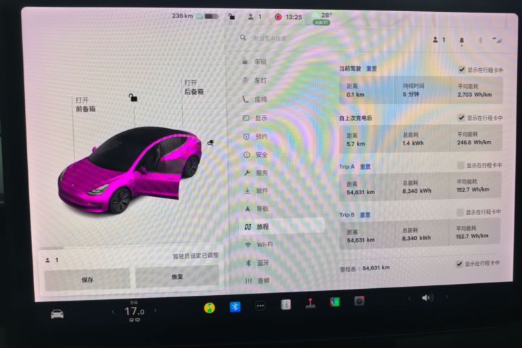 Tesla Model 3 2021 #13 Tesla Model 3 2021 car image #13