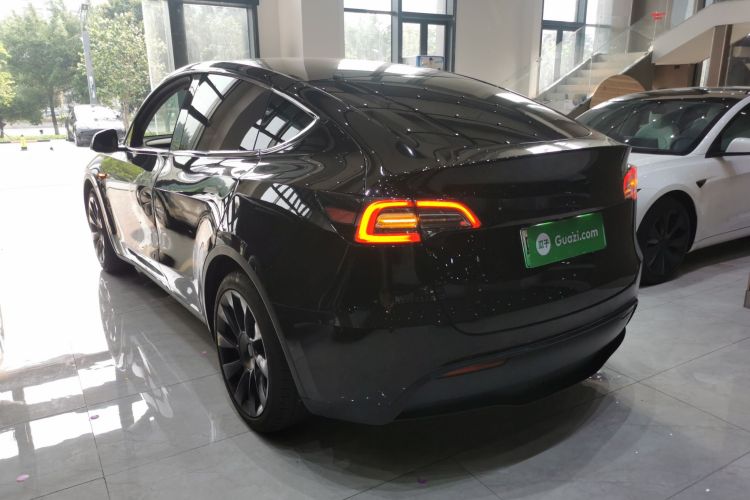 Tesla Model Y 2021 car image #5