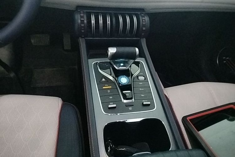BYD Yuan Plus 2023 car image #14