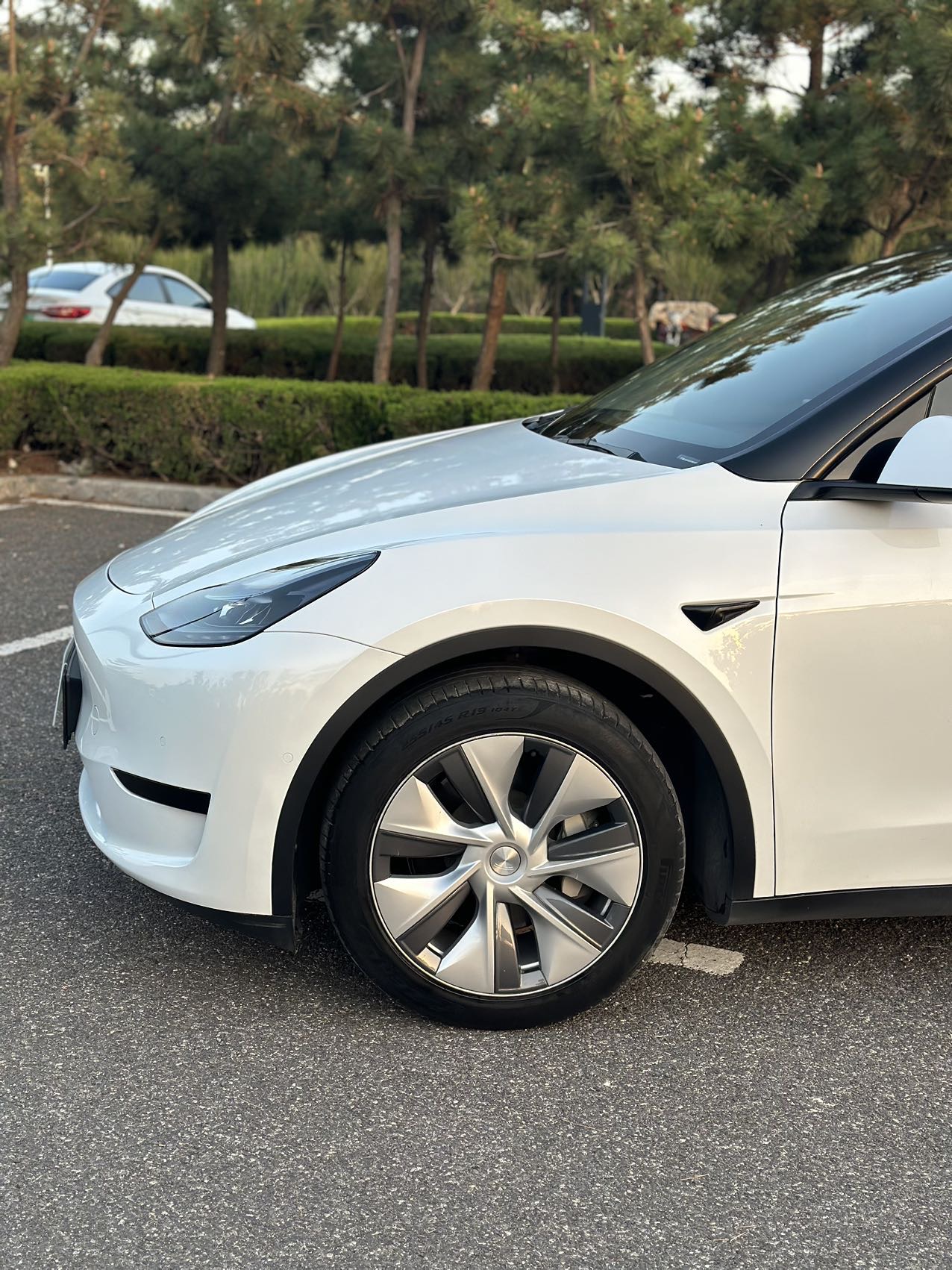 Tesla Model Y 2022 car image #4