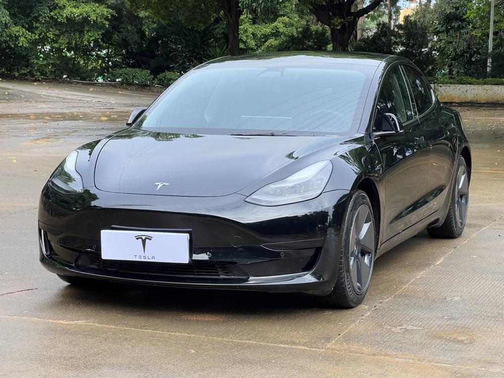 Tesla Model 3 2021 Tesla Model 3 2021 car image