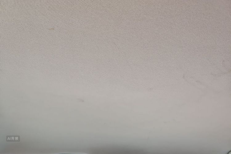 Volkswagen Bora 2015 car image #20