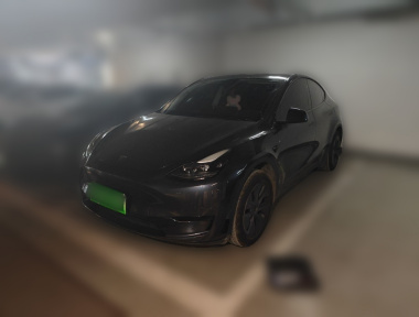 Tesla Model Y 2024 Tesla Model Y 2024 car image