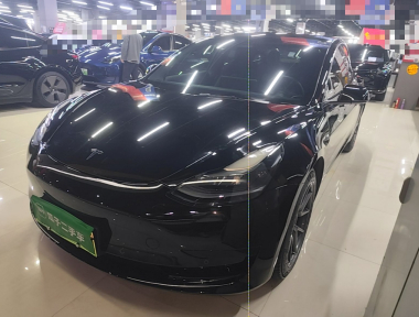 Tesla Model 3 2021 immagine di auto 
