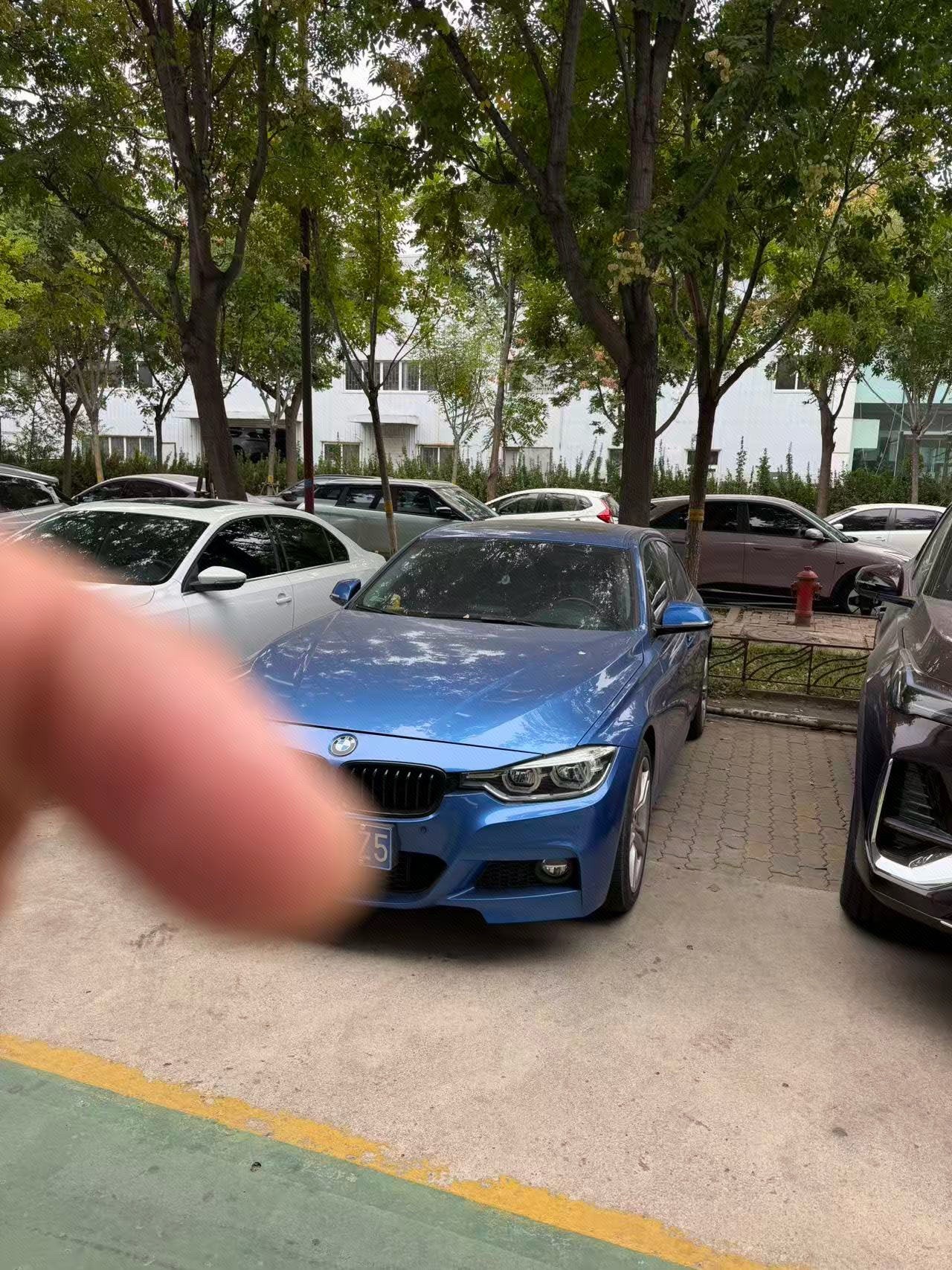 BMW 3 Series 2017 BMW 3 Series 2017 immagine di auto