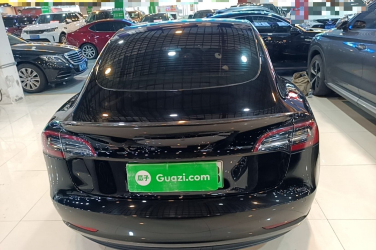 Tesla Model 3 2021 #6 Tesla Model 3 2021 car image #6