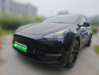 Tesla Model Y 2021 car image 