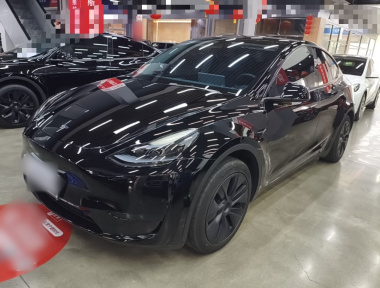 Tesla Model Y 2023 Tesla Model Y 2023 car image