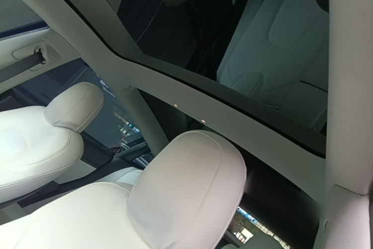Tesla Model 3 2020 car image #18