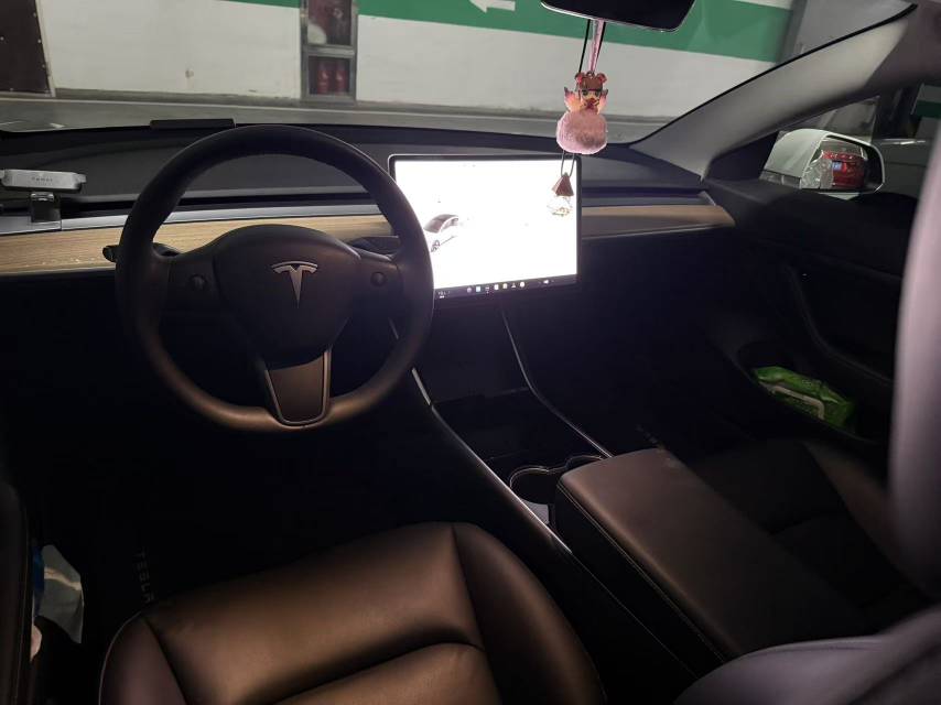 Tesla Model 3 2020 #4 Tesla Model 3 2020 car image #4