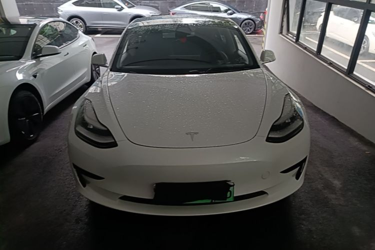 Tesla Model 3 2020 immagine di auto #3