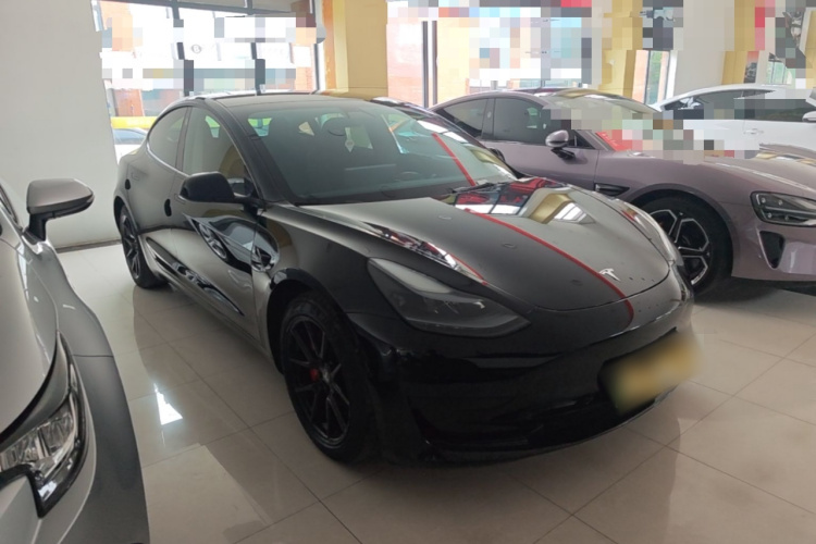 Tesla Model 3 2021 imagem de carro #4