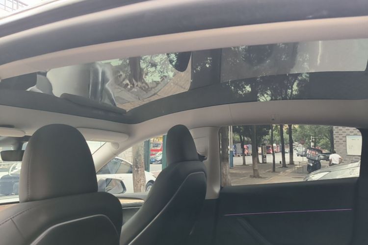Tesla Model Y 2023 #20 Tesla Model Y 2023 car image #20