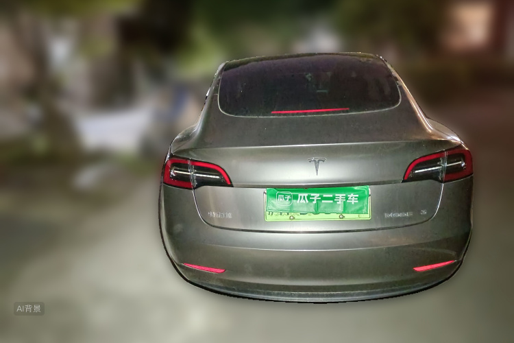 Tesla Model 3 2022 car image #6