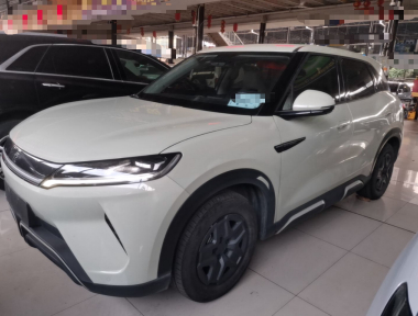 BYD YuanUP 2024 immagine di auto 
