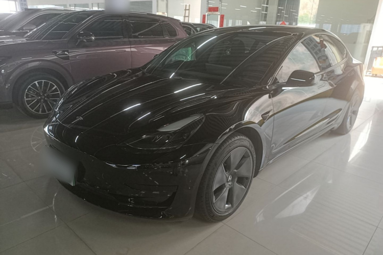 Tesla Model 3 2021 #2 Tesla Model 3 2021 car image #2