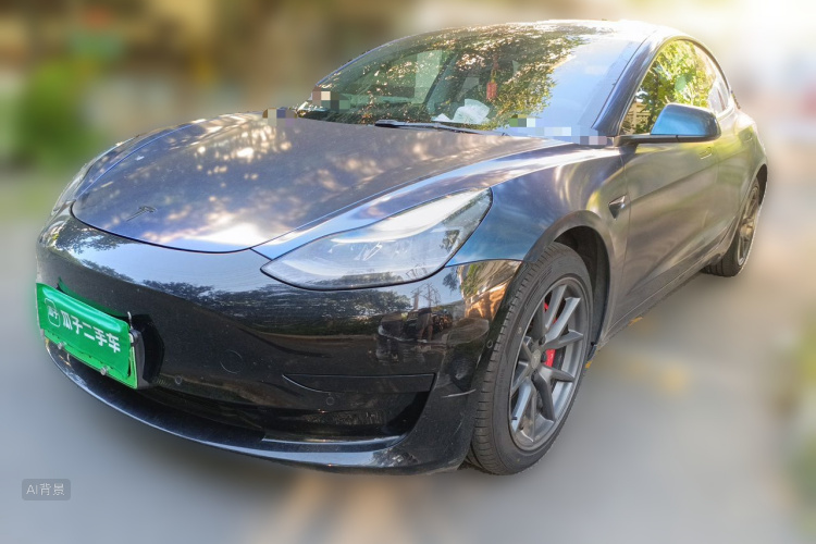 Tesla Model 3 2021 car image #2