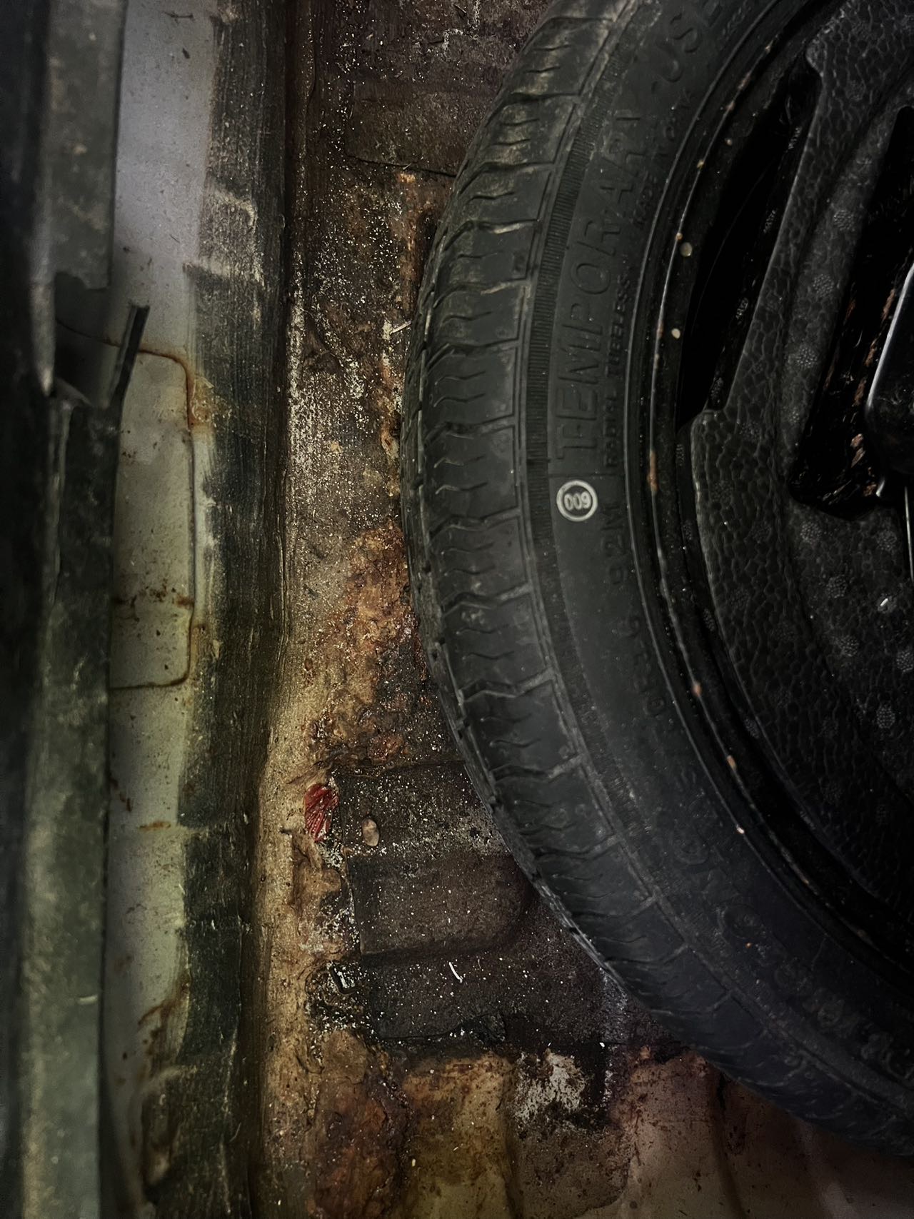 GEELY Emgrand GL 2021 car image #8