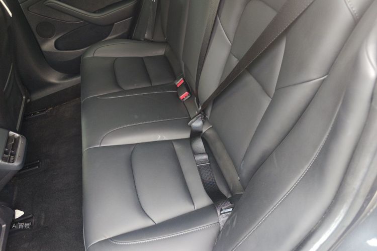 Tesla Model 3 2023 car image #19